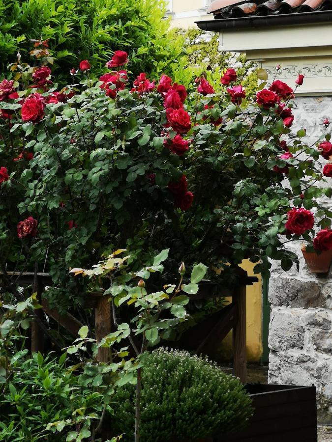 East Wind Bed and Breakfast Medea Εξωτερικό φωτογραφία